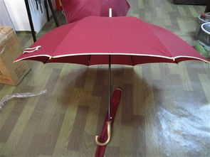 昆明 折疊傘 定做,印字,批發昆明廣告傘定做雙骨