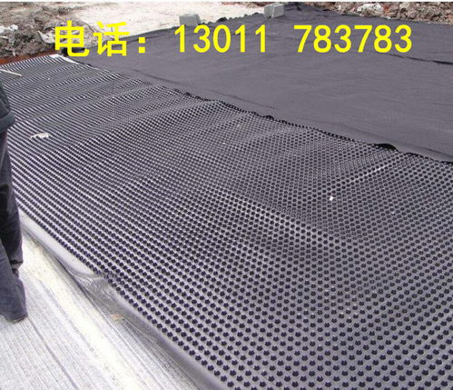 2022歡迎 洛陽12mm厚蜂窩型塑料排水格片包頭 集團(tuán)公司