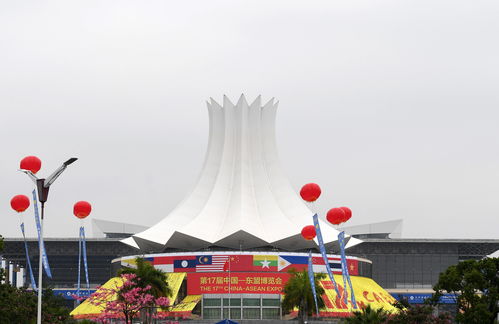 中國(guó)和東盟貿(mào)易逆勢(shì)上揚(yáng) 開啟合作共贏新篇章